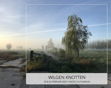 Wilgen Knotten